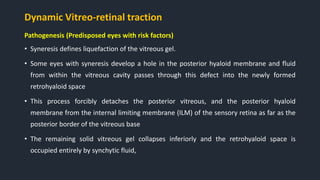 Dynamic Vitreo-retinal traction
Pathogenesis (Predisposed eyes with risk factors)
• Syneresis defines liquefaction of the vitreous gel.
• Some eyes with syneresis develop a hole in the posterior hyaloid membrane and fluid
from within the vitreous cavity passes through this defect into the newly formed
retrohyaloid space
• This process forcibly detaches the posterior vitreous, and the posterior hyaloid
membrane from the internal limiting membrane (ILM) of the sensory retina as far as the
posterior border of the vitreous base
• The remaining solid vitreous gel collapses inferiorly and the retrohyaloid space is
occupied entirely by synchytic fluid,
 