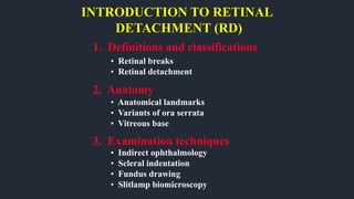 INTRODUCTION TO RETINAL
DETACHMENT (RD)
1. Definitions and classifications
3. Examination techniques
2. Anatomy
• Retinal breaks
• Retinal detachment
• Anatomical landmarks
• Variants of ora serrata
• Vitreous base
• Indirect ophthalmology
• Scleral indentation
• Fundus drawing
• Slitlamp biomicroscopy
 