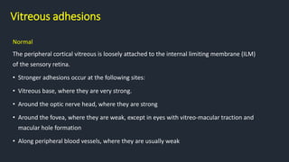 Vitreous adhesions
Normal
The peripheral cortical vitreous is loosely attached to the internal limiting membrane (ILM)
of the sensory retina.
• Stronger adhesions occur at the following sites:
• Vitreous base, where they are very strong.
• Around the optic nerve head, where they are strong
• Around the fovea, where they are weak, except in eyes with vitreo-macular traction and
macular hole formation
• Along peripheral blood vessels, where they are usually weak
 