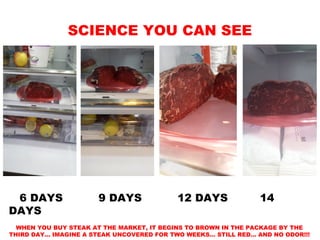SCIENCE YOU CAN SEE
6 DAYS 9 DAYS 12 DAYS 14
DAYS
WHEN YOU BUY STEAK AT THE MARKET, IT BEGINS TO BROWN IN THE PACKAGE BY THE
THIRD DAY… IMAGINE A STEAK UNCOVERED FOR TWO WEEKS… STILL RED… AND NO ODOR!!!
 