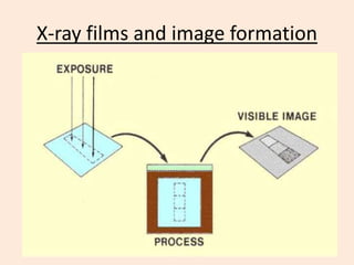 RDG 306 Radiographic imaging- Lec UG3.pptx