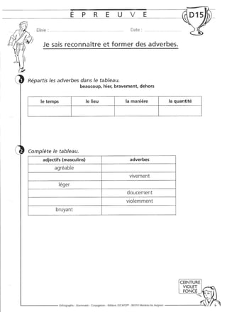 Rédiger sans fautes (cm2)