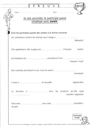 Rédiger sans fautes (cm2)