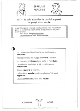 Rédiger sans fautes (cm2)