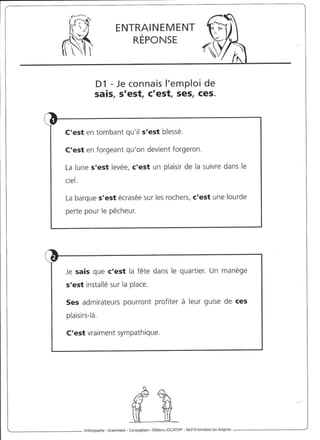 Rédiger sans fautes (cm2)