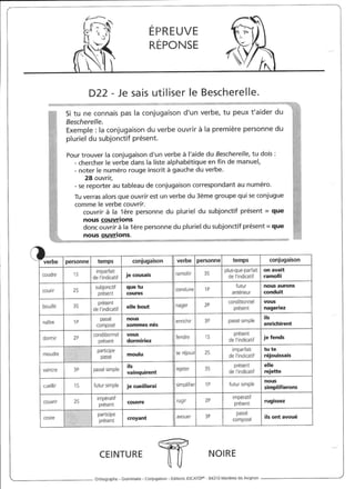 Rédiger sans fautes (cm2)
