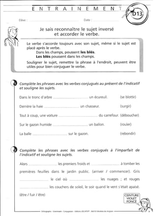 Rédiger sans fautes (cm2)