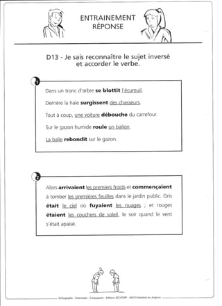 Rédiger sans fautes (cm2)