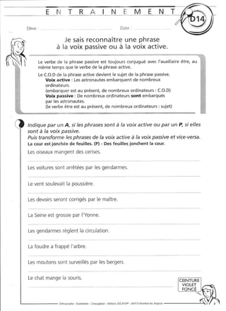 Rédiger sans fautes (cm2)