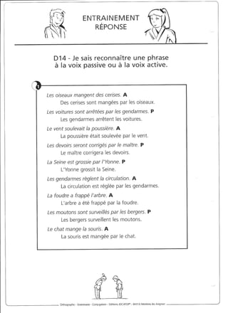 Rédiger sans fautes (cm2)