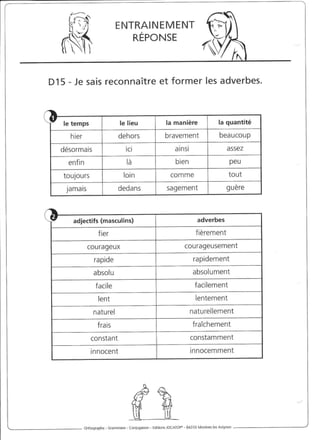 Rédiger sans fautes (cm2)