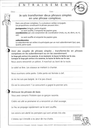 Rédiger sans fautes (cm2)