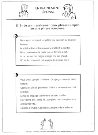 Rédiger sans fautes (cm2)