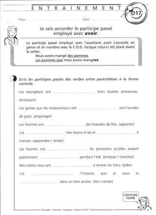 Rédiger sans fautes (cm2)