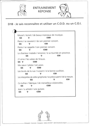 Rédiger sans fautes (cm2)