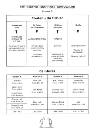 Rédiger sans fautes (cm2)
