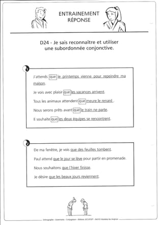 Rédiger sans fautes (cm2)