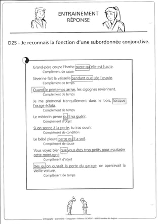 Rédiger sans fautes (cm2)