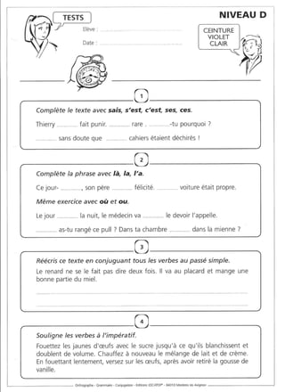 Rédiger sans fautes (cm2)