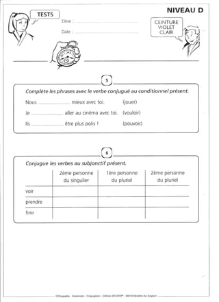 Rédiger sans fautes (cm2)