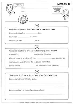 Rédiger sans fautes (cm2)