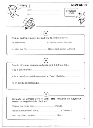 Rédiger sans fautes (cm2)