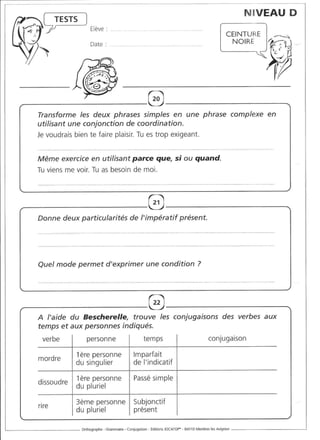 Rédiger sans fautes (cm2)