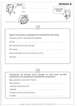 Rédiger sans fautes (cm2)