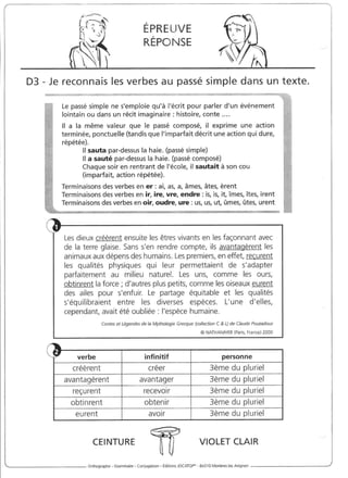 Rédiger sans fautes (cm2)