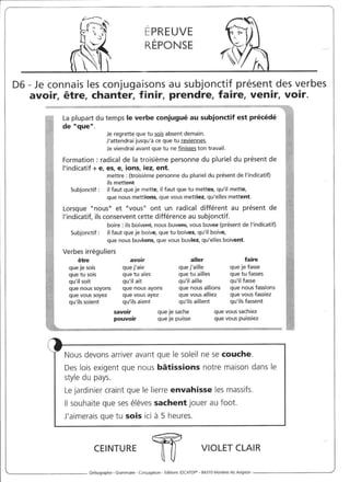 Rédiger sans fautes (cm2)