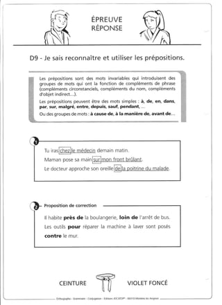 Rédiger sans fautes (cm2)