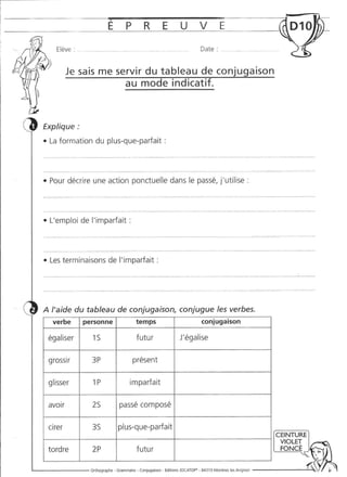 Rédiger sans fautes (cm2)