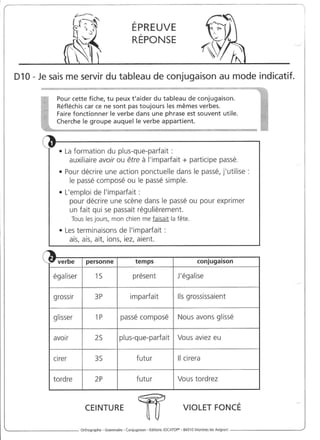 Rédiger sans fautes (cm2)