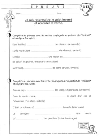 Rédiger sans fautes (cm2)