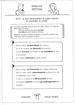 Rédiger sans fautes (cm2)