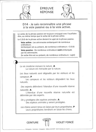 Rédiger sans fautes (cm2)