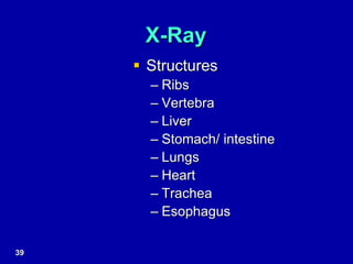 X-Ray
 Structures
– Ribs
– Vertebra
– Liver
– Stomach/ intestine
– Lungs
– Heart
– Trachea
– Esophagus
39
 