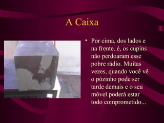 A Caixa Por cima, dos lados e na frente..é, os cupins não perdoaram esse pobre rádio. Muitas vezes, quando você vê o pózinho pode ser tarde demais e o seu móvel poderá estar todo comprometido... 