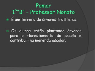 Pomar
     1°”B” – Professor Nonato
   É um terreno de árvores frutíferas.

    Os alunos estão plantando árvores
    para o florestamento da escola e
    contribuir na merenda escolar.
 
