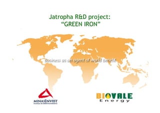 Jatropha R&D project:
    “GREEN IRON”
 