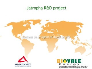 Jatropha R&D project [email_address] 
