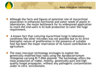 Although the facts and figures of potential role of mycorrhizal association in enhanced nutritional and water needs of plants in laboratories, the major bottleneck for its widespread application to reach the end-users is its bulk production to cater the huge requirement. A known fact that culturing mycorrhizal fungi in laboratory conditions like other microbes was not possible due to its strict biotrophic nature of proliferation in the presence of suitable host has been the major reservation of its future contribution in agriculture.  The mass inoculum technology envisages to exploit the genetically modified host roots using the  Agrobacteriumum rhizogenes  carrying Ri T-DNA plasmid. The technology offers the mass production of viable, healthy, genetically pure and high quality fungal propagules, without any pathogenic contamination under  in vitro   environment.  Mass inoculum technology 