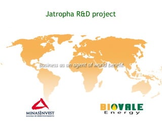 Jatropha R&D project  