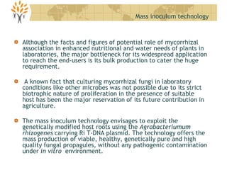 Although the facts and figures of potential role of mycorrhizal
association in enhanced nutritional and water needs of plants in
laboratories, the major bottleneck for its widespread application
to reach the end-users is its bulk production to cater the huge
requirement.
A known fact that culturing mycorrhizal fungi in laboratory
conditions like other microbes was not possible due to its strict
biotrophic nature of proliferation in the presence of suitable
host has been the major reservation of its future contribution in
agriculture.
The mass inoculum technology envisages to exploit the
genetically modified host roots using the Agrobacteriumum
rhizogenes carrying Ri T-DNA plasmid. The technology offers the
mass production of viable, healthy, genetically pure and high
quality fungal propagules, without any pathogenic contamination
under in vitro environment.
Mass inoculum technology
 
