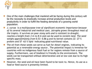 One of the main challenges that mankind will be facing during this century will
be the necessity to drastically increase animal production levels and
productivity in order to fulfill the feeding demands of a growing world
population.
J. curcas is a multipurpose tree of significant economic importance because
of its several industrial and medical uses. Jatropha grows throughout most of
the tropics. It survives on poor stony soils and is resistant to drought,
reaches a height from 3 m to 8 m and can be used to reclaim land. The seed
weighs approximately from 0.53 -0.86 g and its kernel contains 22 -27 %
protein and 57 -63 % lipid indicating good nutritional value.
The oil from these seeds can serve as fuel for diese! engines, indicating its
potential as a renewable energy source . The potential impact is immense for
countries with no indigenous fossil fuel or for regions remote from a source of
supply. Furthermore, use of biodiescl is friendly to the environment. The
seeds can be transported without deterioration and at low cost due to its high
specific mass.
However, the seed and oil have been found to be toxic to. Hence, its use as a
food or feed source is presently limited.
 