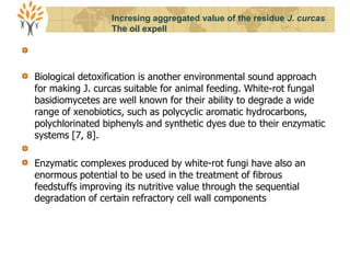 Biological detoxification is another environmental sound approach
for making J. curcas suitable for animal feeding. White-rot fungal
basidiomycetes are well known for their ability to degrade a wide
range of xenobiotics, such as polycyclic aromatic hydrocarbons,
polychlorinated biphenyls and synthetic dyes due to their enzymatic
systems [7, 8].
Enzymatic complexes produced by white-rot fungi have also an
enormous potential to be used in the treatment of fibrous
feedstuffs improving its nutritive value through the sequential
degradation of certain refractory cell wall components
Incresing aggregated value of the residue J. curcas
The oil expell
 