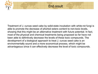Treatment of J. curcas seed cake by solid-state incubation with white-rot fungi is
able to promote the decrease of phorbol esters content to non-toxic levels,
showing that this might be an alternative treatment with future potential. In fact,
most of the physical and chemical treatments being proposed so far have not
been able to definitively decrease the levels of these toxic compounds. The
development of a biological approach to treat J. curcas seed cake is an
environmentally sound and a more economical process, which might be
advantageous since it can effectively decrease the level of toxic compounds.
End result
 