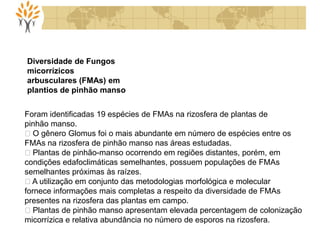 Diversidade de Fungos
micorrízicos
arbusculares (FMAs) em
plantios de pinhão manso
Foram identificadas 19 espécies de FMAs na rizosfera de plantas de
pinhão manso.
O gênero Glomus foi o mais abundante em número de espécies entre os
FMAs na rizosfera de pinhão manso nas áreas estudadas.
Plantas de pinhão-manso ocorrendo em regiões distantes, porém, em
condições edafoclimáticas semelhantes, possuem populações de FMAs
semelhantes próximas às raízes.
A utilização em conjunto das metodologias morfológica e molecular
fornece informações mais completas a respeito da diversidade de FMAs
presentes na rizosfera das plantas em campo.
Plantas de pinhão manso apresentam elevada percentagem de colonização
micorrízica e relativa abundância no número de esporos na rizosfera.
 