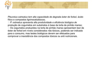Pleurotus ostreatus tem alta capacidade de degrada éster de forbol, ácido
fítico e compostos ligninocelulósicos;
P. ostreatus apresenta alta produtividade e eficiência biológica de
produção de cogumelos em substratos à base da torta de pinhão manso;
Os cogumelos produzidos na torta de pinhão manso apresentam teor de
éster de forbol em níveis considerados não tóxicos, podendo ser indicado
para o consumo, mas testes biológicos devem ser efetuados para
comprovar a inexistência dos compostos tóxicos ou anti nutricionais.
 