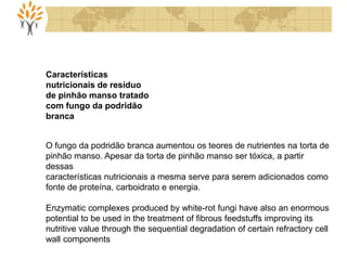 Características
nutricionais de resíduo
de pinhão manso tratado
com fungo da podridão
branca
O fungo da podridão branca aumentou os teores de nutrientes na torta de
pinhão manso. Apesar da torta de pinhão manso ser tóxica, a partir
dessas
características nutricionais a mesma serve para serem adicionados como
fonte de proteína, carboidrato e energia.
Enzymatic complexes produced by white-rot fungi have also an enormous
potential to be used in the treatment of fibrous feedstuffs improving its
nutritive value through the sequential degradation of certain refractory cell
wall components
 